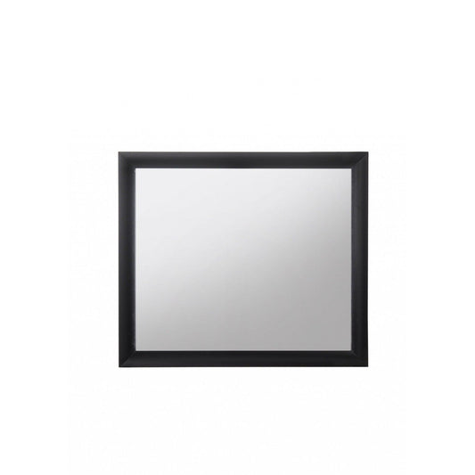 HomeRoots Contemporary Wood Frame mirror in Black