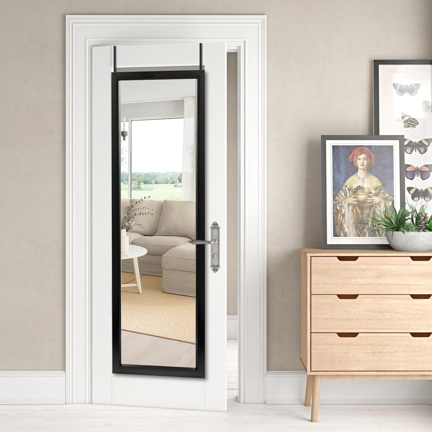 HomeRoots Door Mount Black Mirror