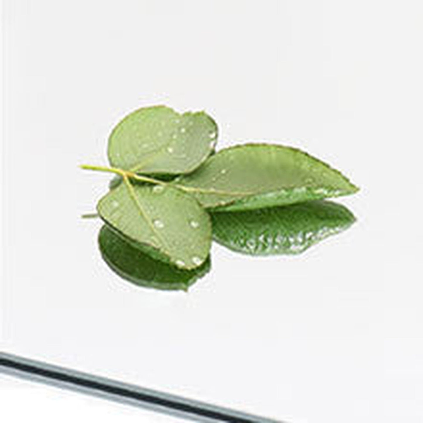 HomeRoots Freestanding Gold Full length Mirror