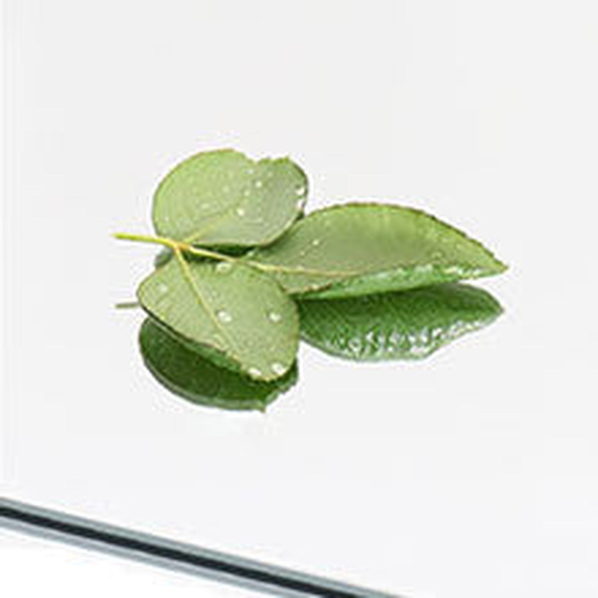 HomeRoots Freestanding Silver Full-length Floor Mirror