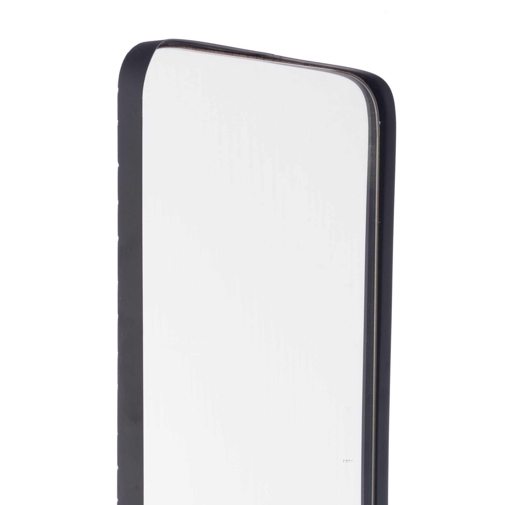HomeRoots Full Length Black Rectangular Mirror