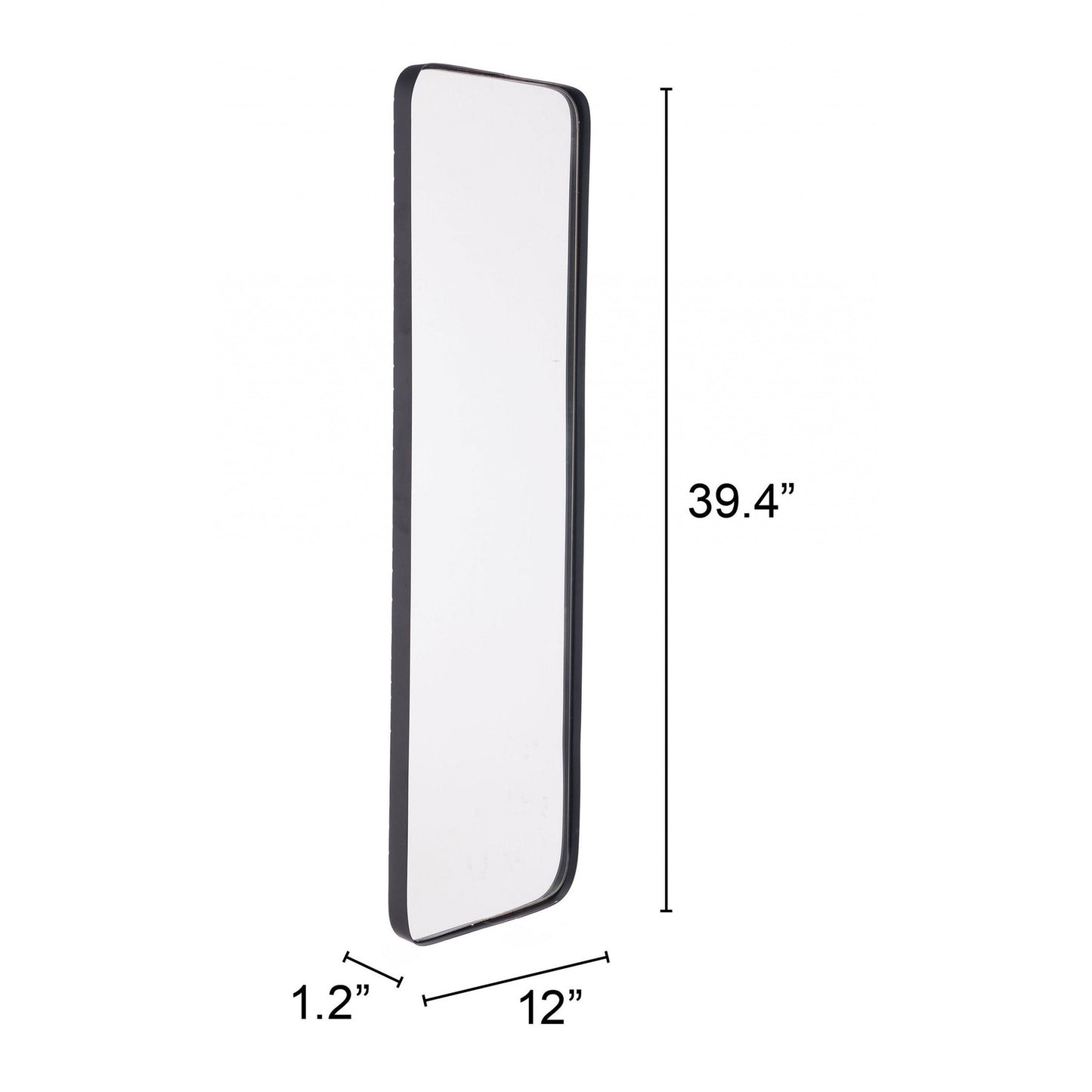 HomeRoots Full Length Black Rectangular Mirror