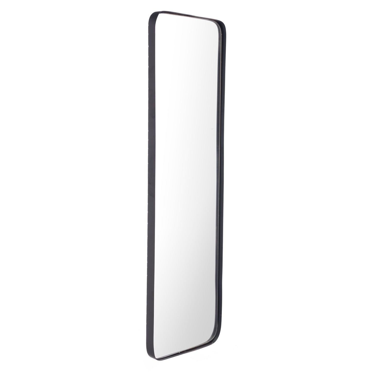 HomeRoots Full Length Black Rectangular Mirror