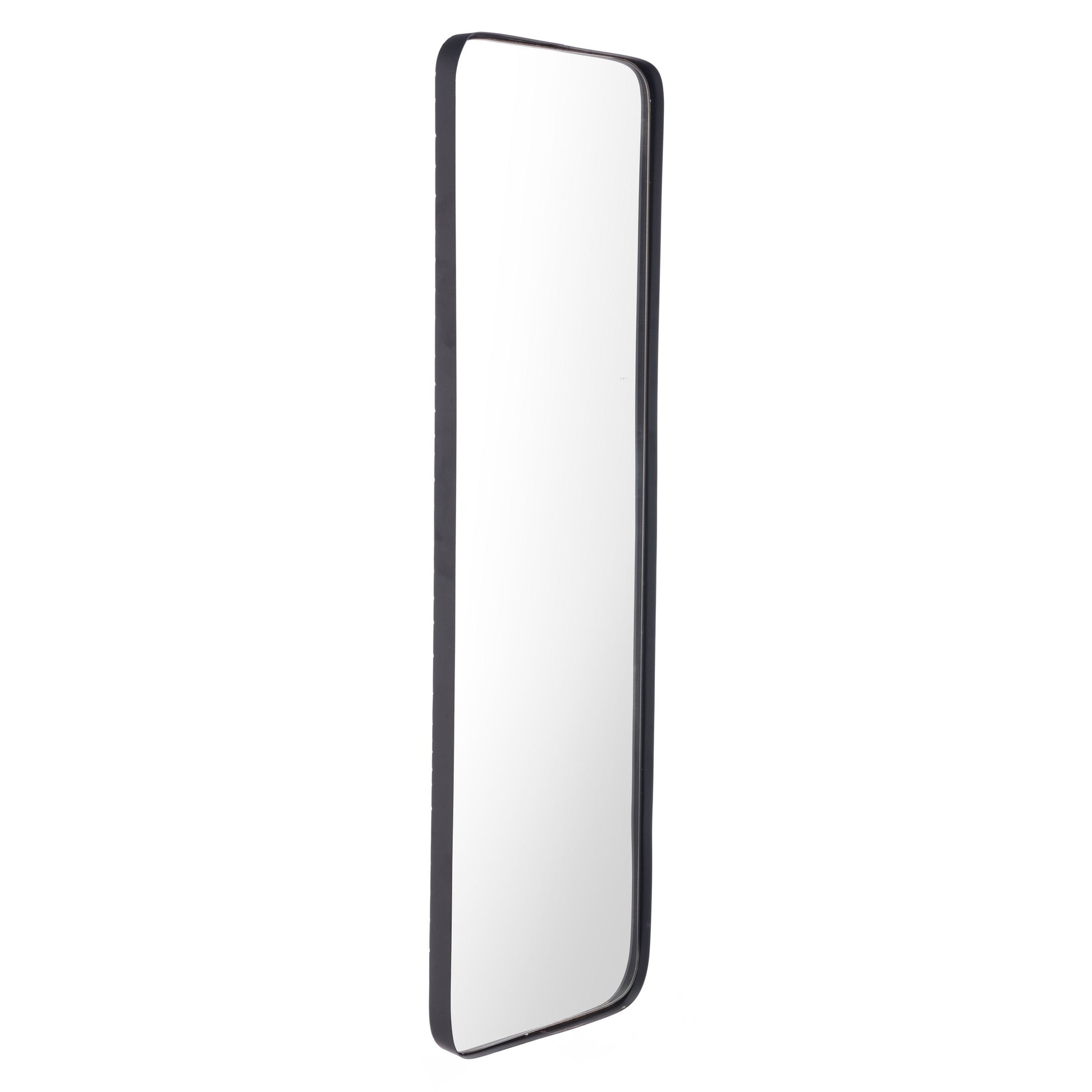 HomeRoots Full Length Black Rectangular Mirror