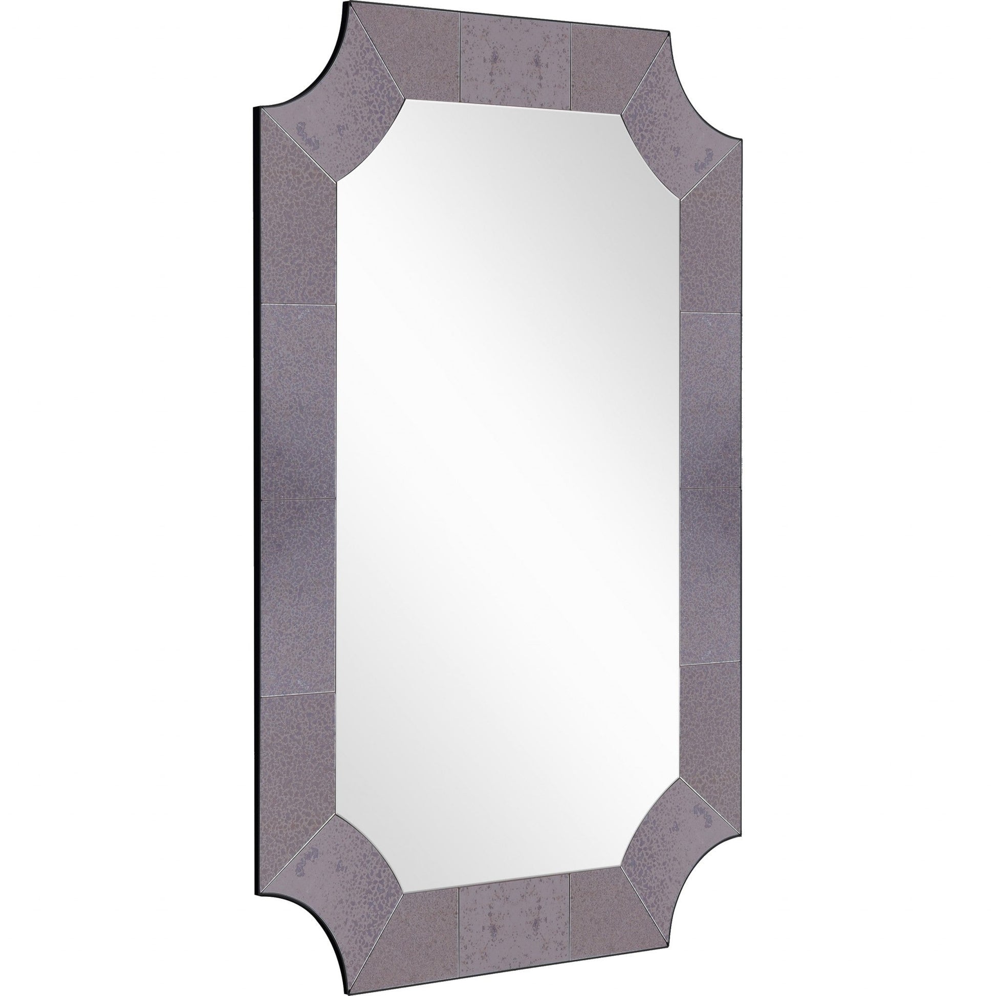 HomeRoots Grey Antiqued Framed Mirror