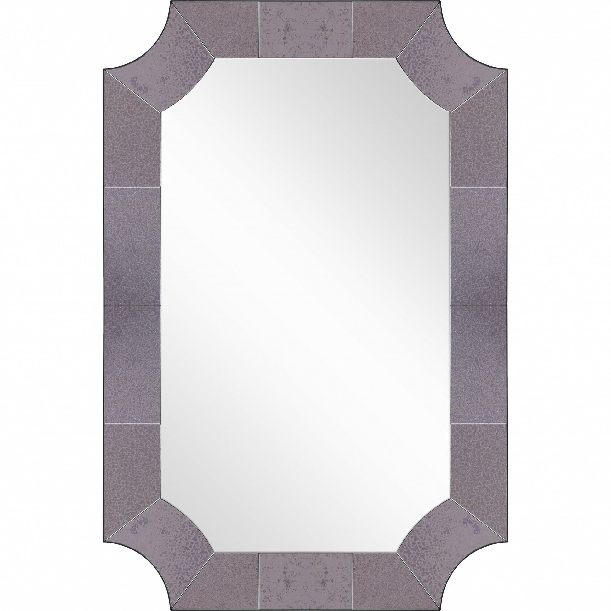 HomeRoots Grey Antiqued Framed Mirror