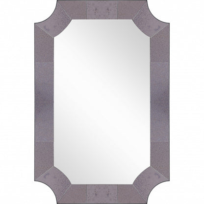 HomeRoots Grey Antiqued Framed Mirror