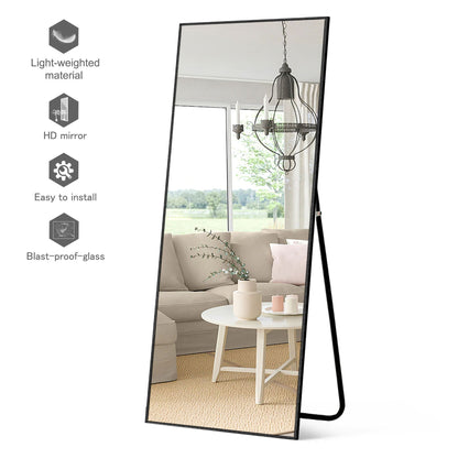 HomeRoots Jumbo Black Full Length Standing Mirror