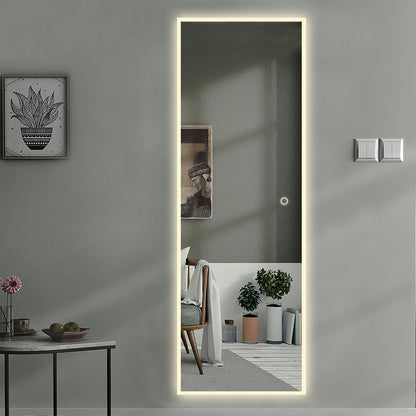 HomeRoots LED Backlit Rectangular Full-length Mirror