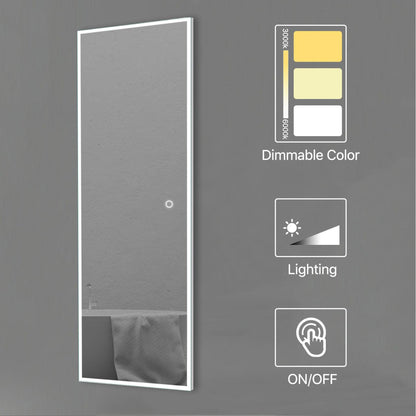 HomeRoots LED Backlit Rectangular Full-length Mirror