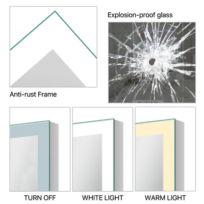 HomeRoots LED Backlit Rectangular Full-length Mirror