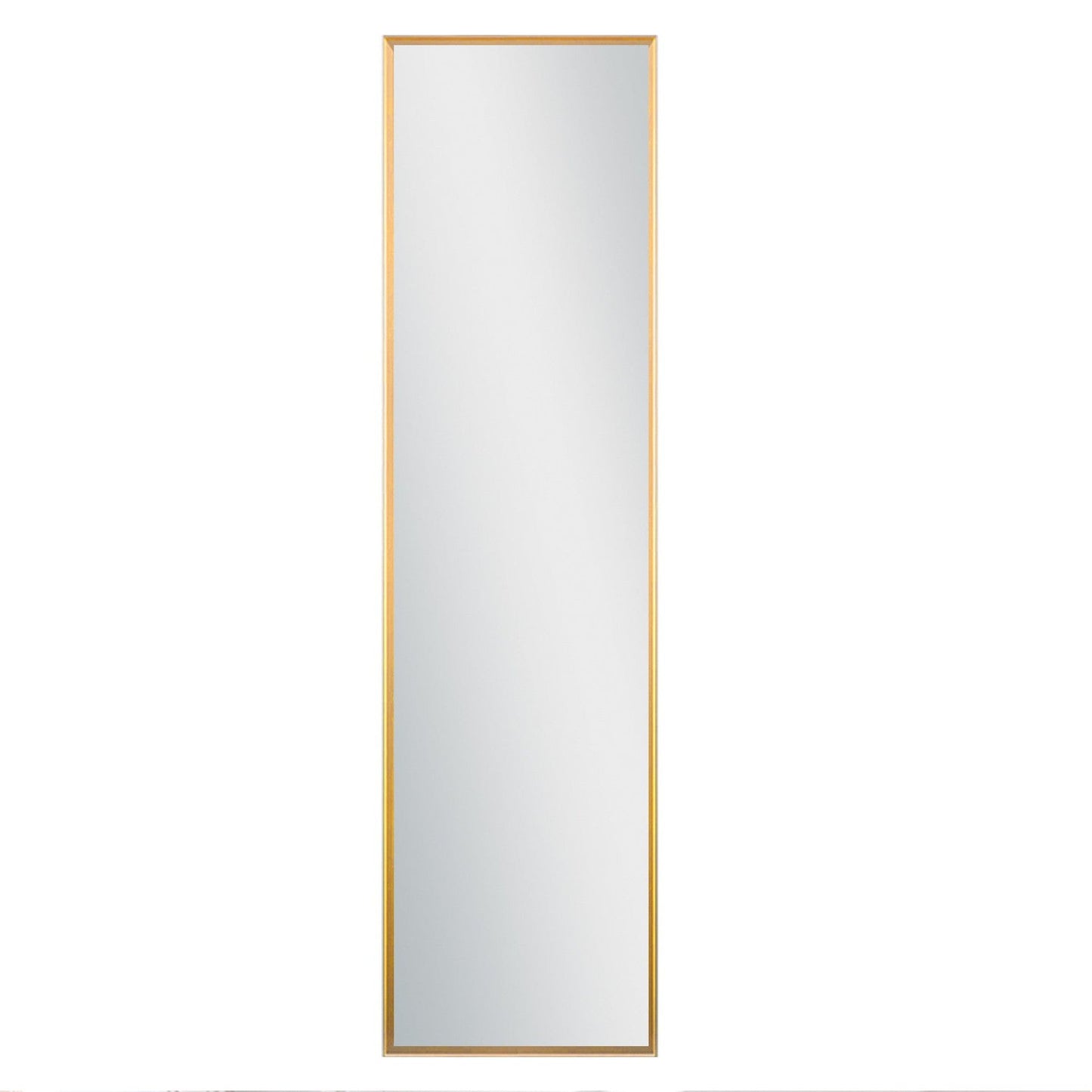 HomeRoots Long Gold Full Length Standing Mirror