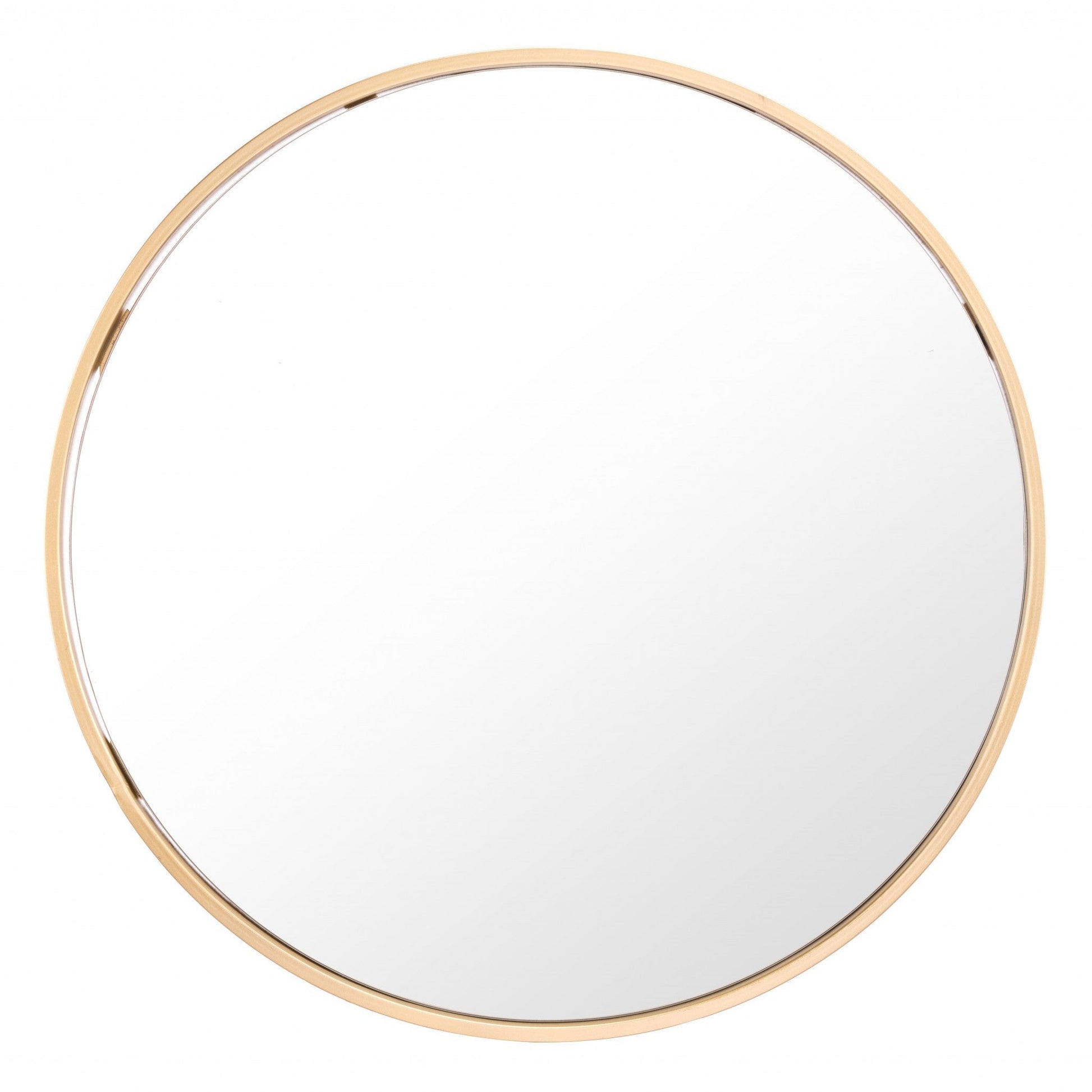 HomeRoots Minimalist Gold Oval Mirror