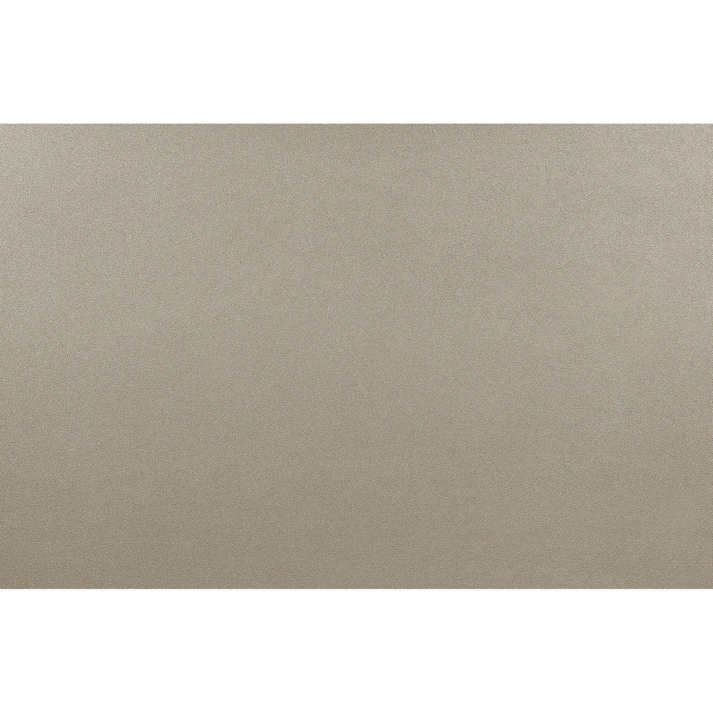 HomeRoots Modern Champagne Mirror with Rectangular Wood Trim