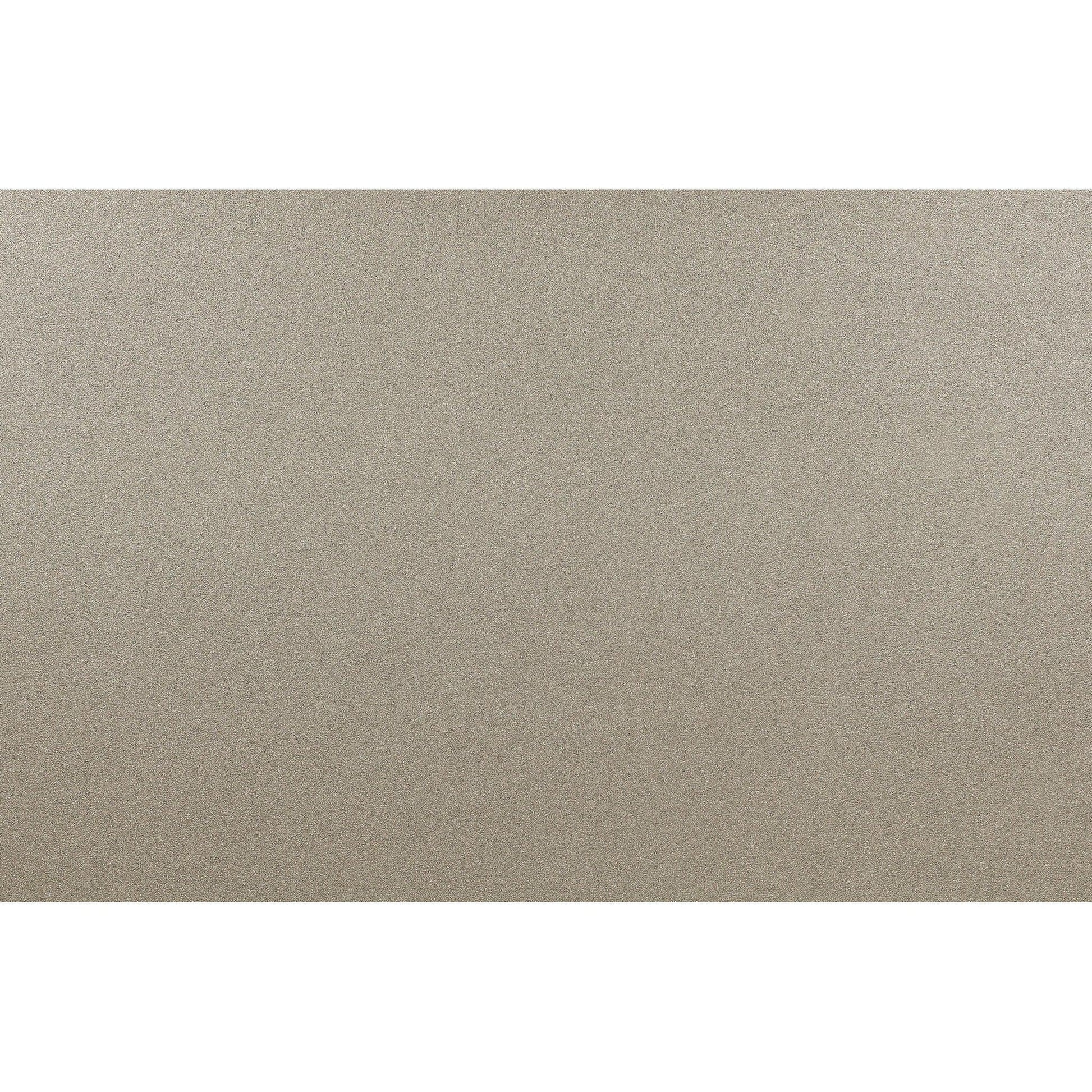 HomeRoots Modern Champagne Mirror with Rectangular Wood Trim