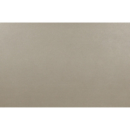 HomeRoots Modern Champagne Mirror with Rectangular Wood Trim