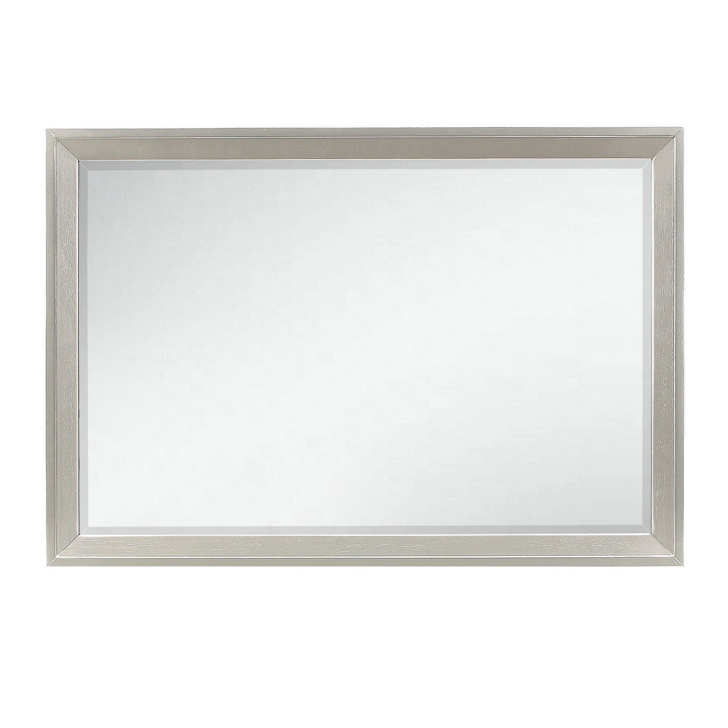 HomeRoots Modern Champagne Mirror with Rectangular Wood Trim