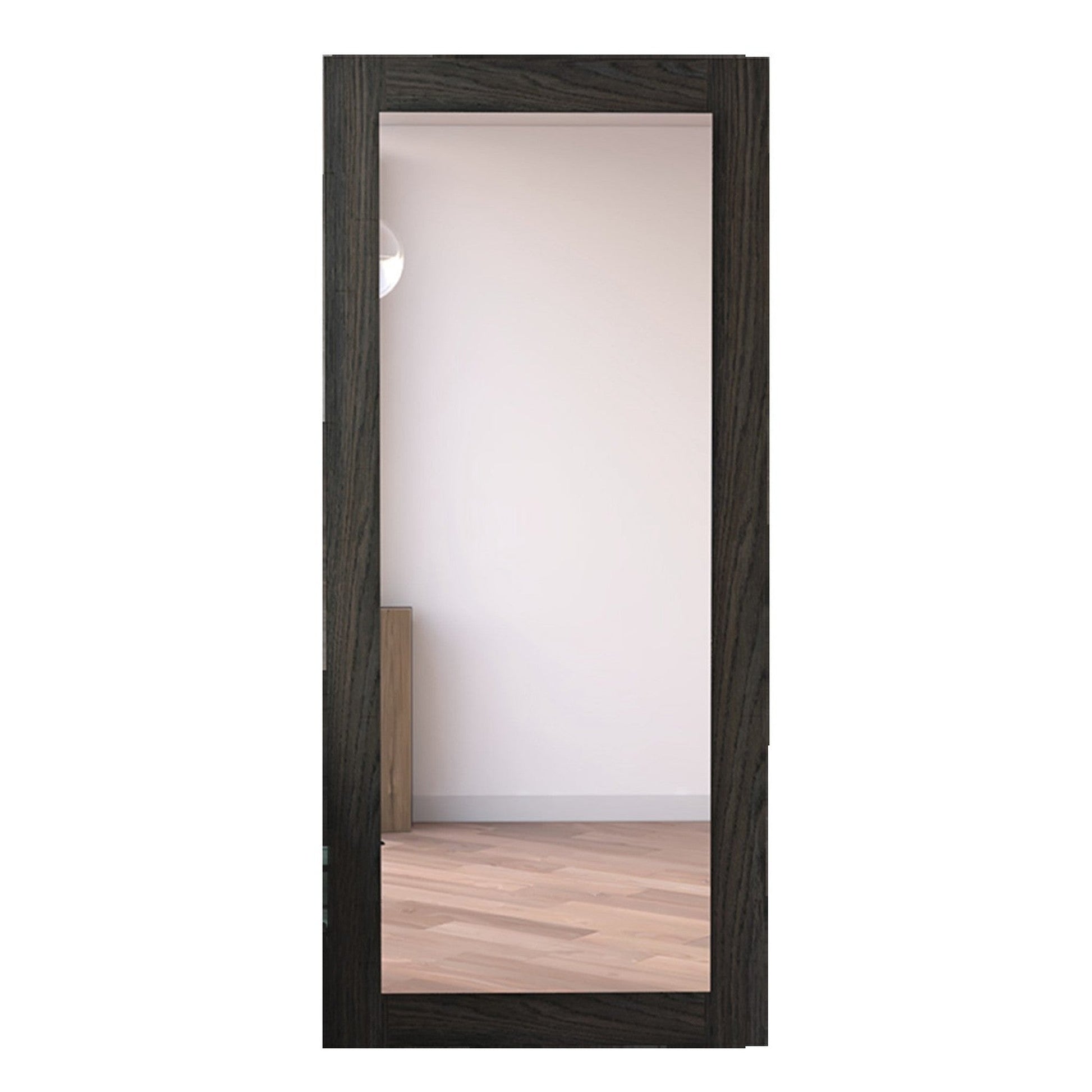 HomeRoots Modern Espresso Wood Wall Mirror