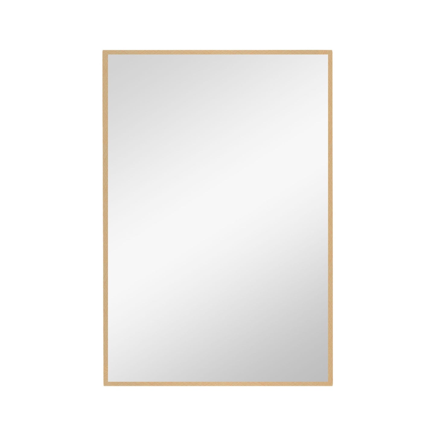 HomeRoots Narrow Gold Rectangular Wall Mirror