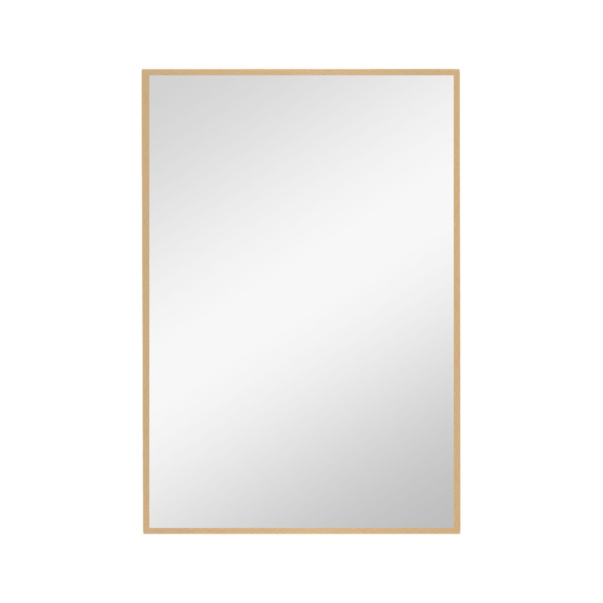 HomeRoots Narrow Gold Rectangular Wall Mirror