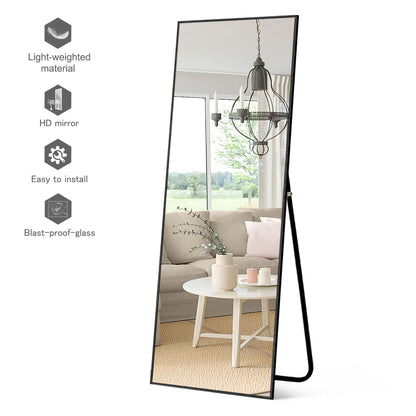 HomeRoots Narrow Minimal Black Wall Mirror