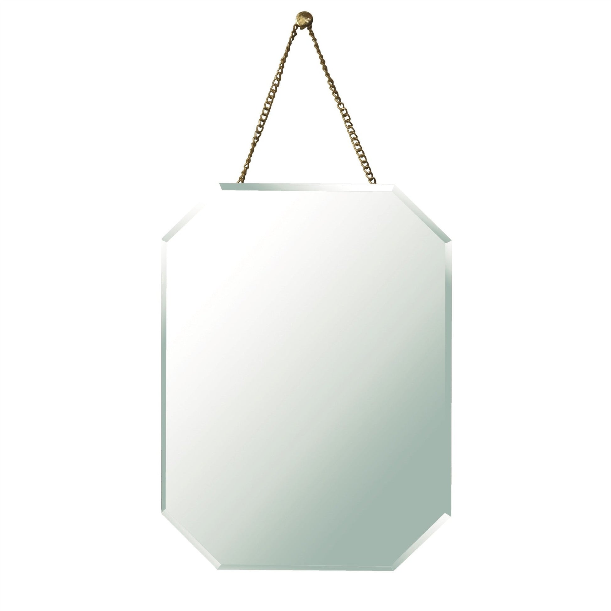 HomeRoots Octagonal Beveled Hanging Mirror