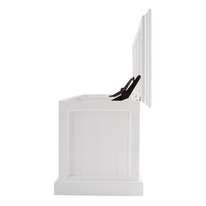 HomeRoots Paneled Storage Chest in Classic White Finish