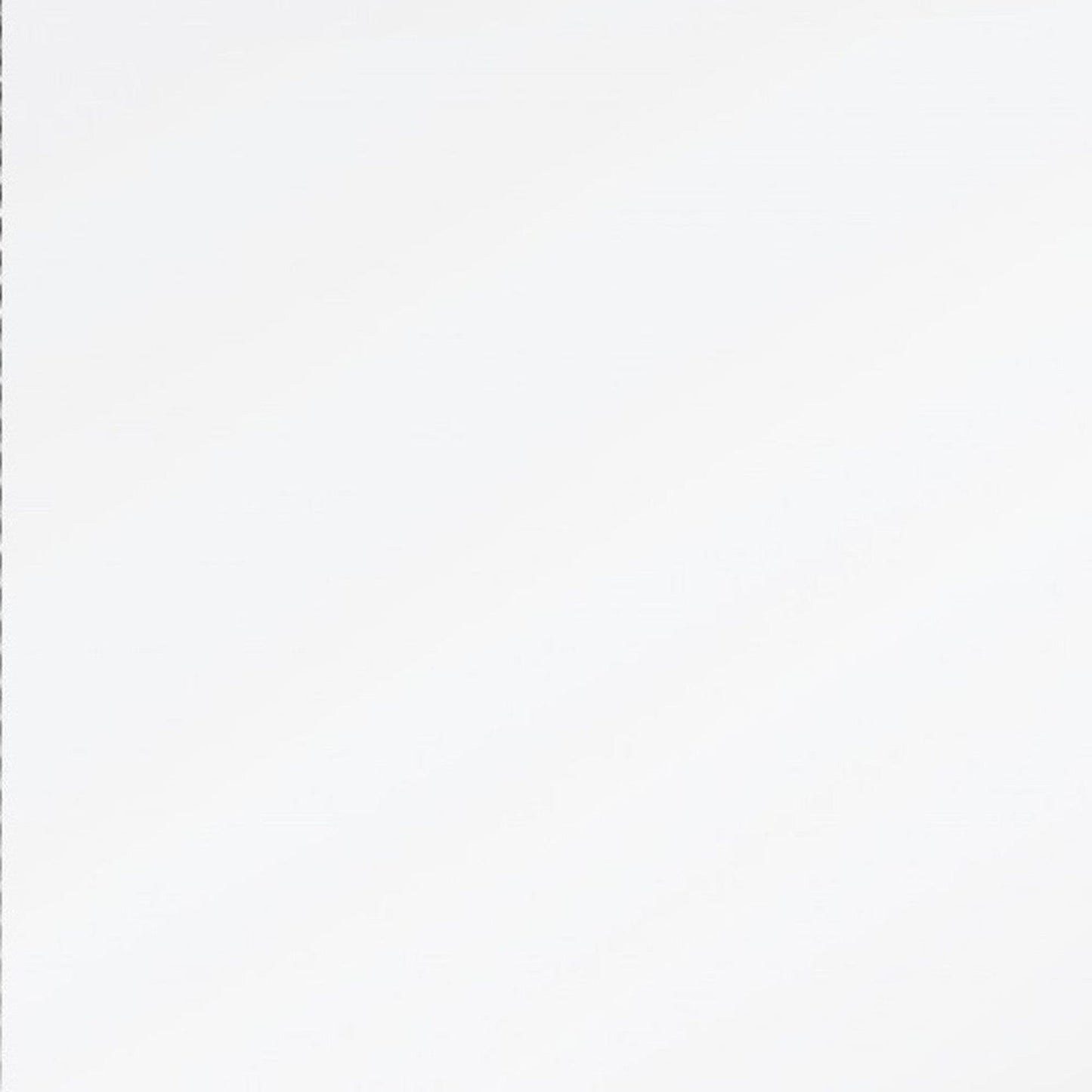 HomeRoots Silver Beaded Frame Mirror