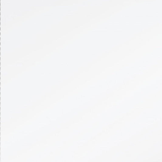 HomeRoots Silver Beaded Frame Mirror