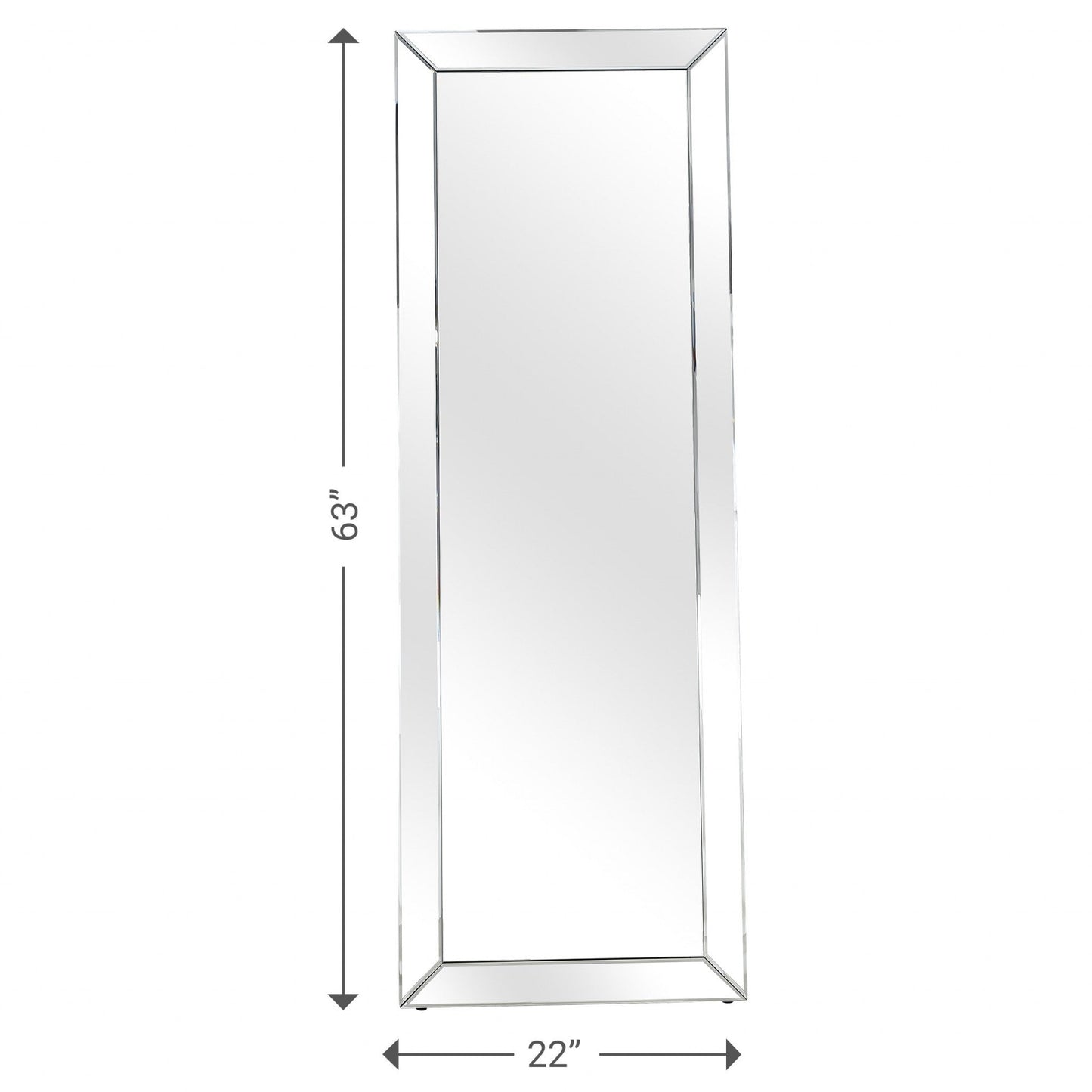 HomeRoots Silver Contemporary Full Length Mirror