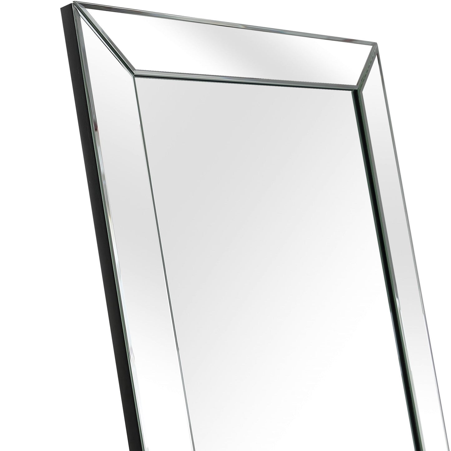 HomeRoots Silver Contemporary Full Length Mirror