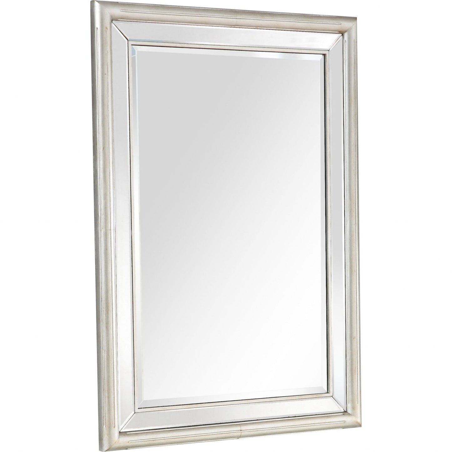 HomeRoots Silver Leaf Antiqued Mirror