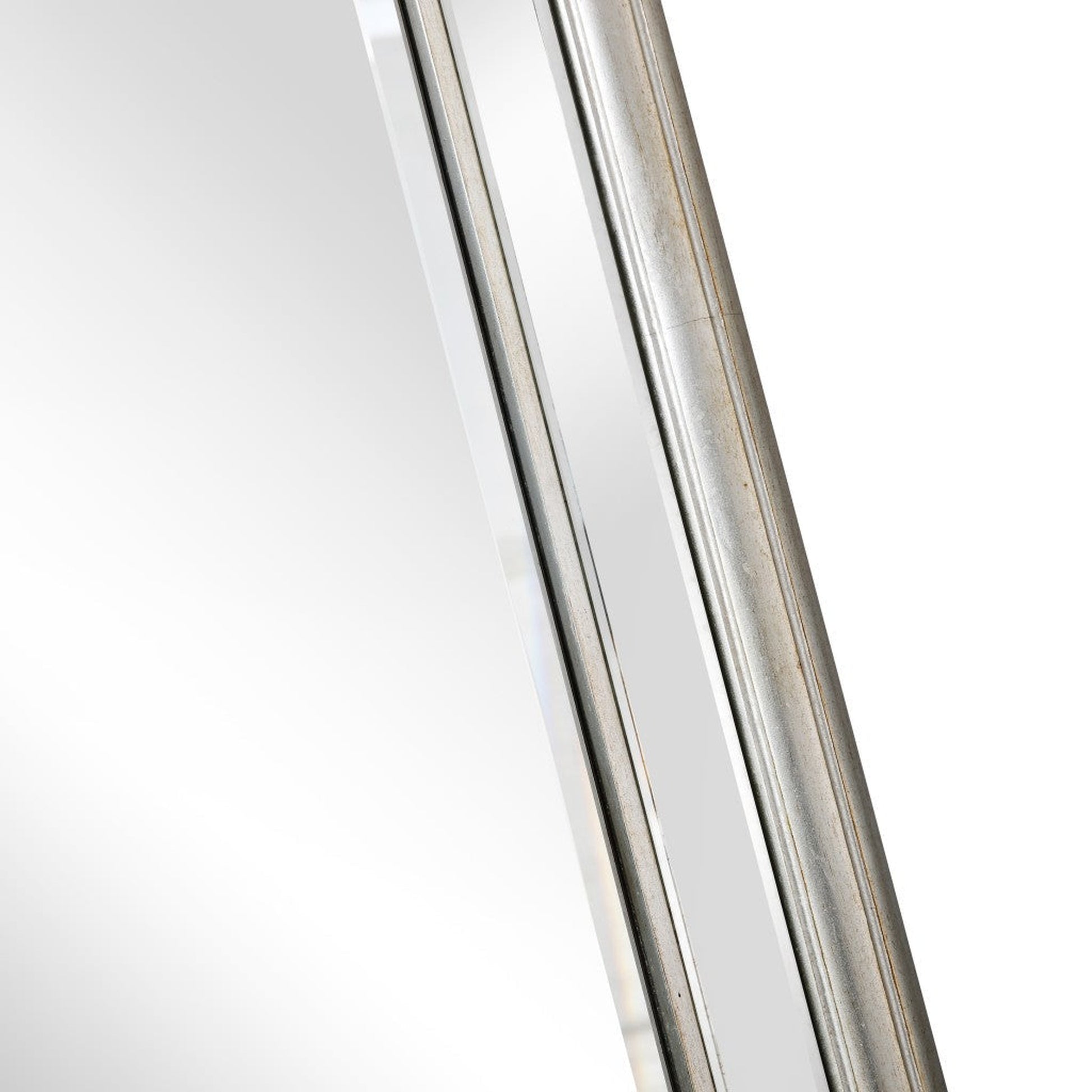 HomeRoots Silver Leaf Antiqued Mirror