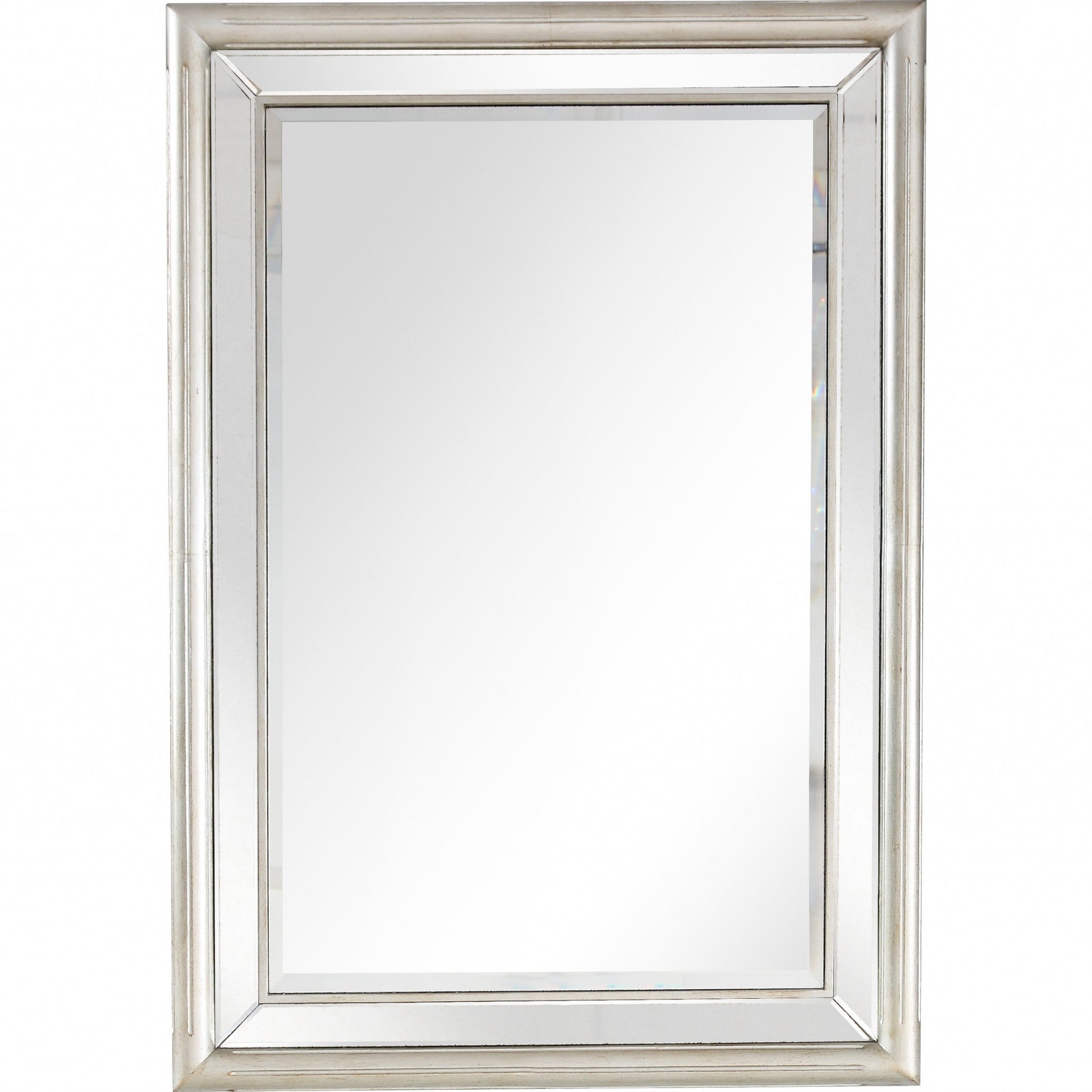 HomeRoots Silver Leaf Antiqued Mirror