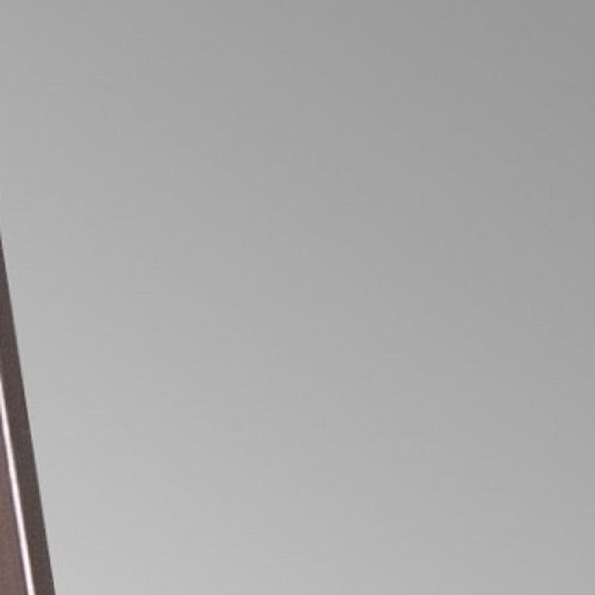 HomeRoots Sleek Brushed Brass Rectangular Full Length Standing Mirror