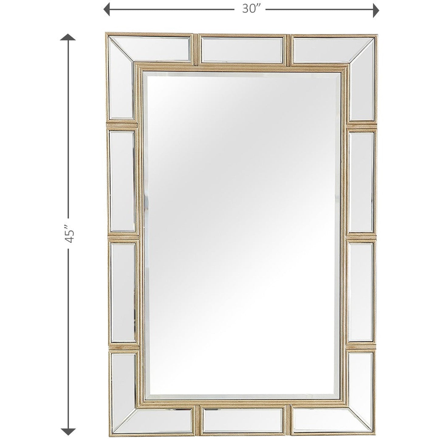 HomeRoots Svelte Wall Mirror