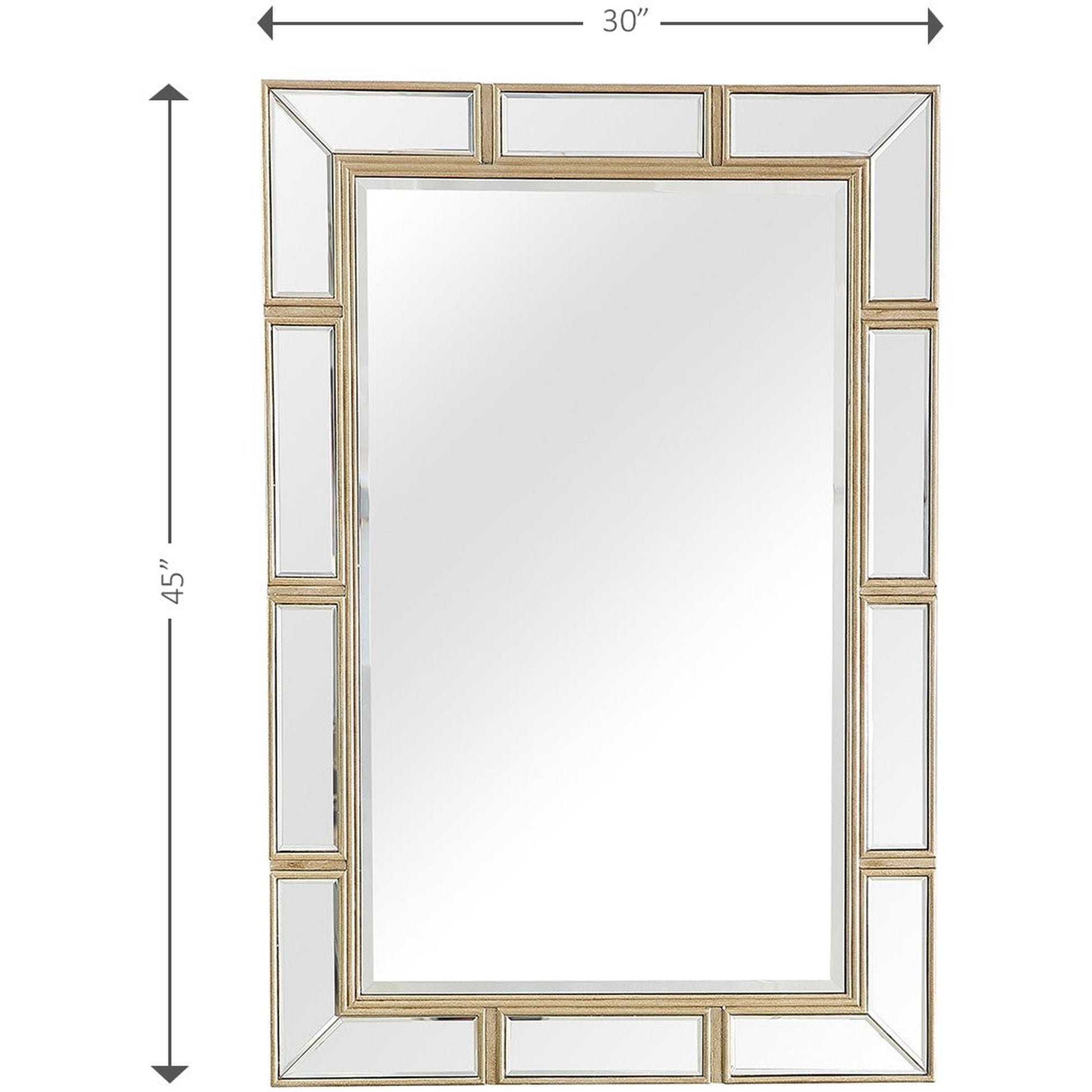HomeRoots Svelte Wall Mirror