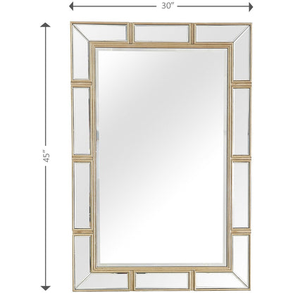 HomeRoots Svelte Wall Mirror