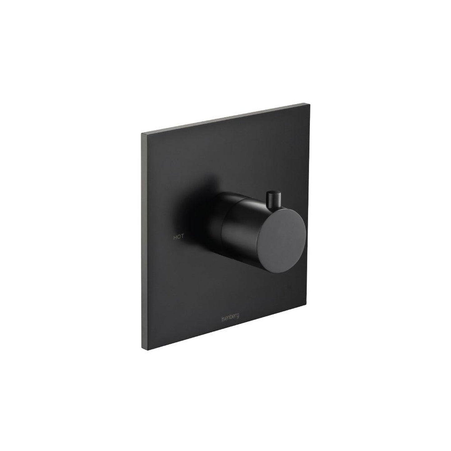 Isenberg Serie 100 3/4" Single Output Thermostatic Valve With Trim in Matte Black