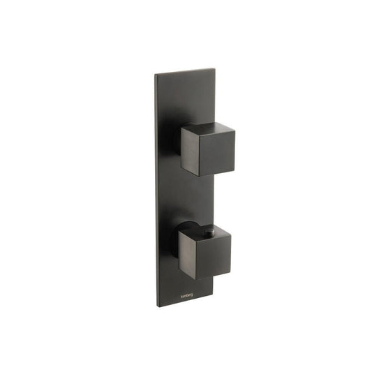 Isenberg Serie 160 3/4" Two Output Thermostatic Shower Valve and Trim in Matte Black