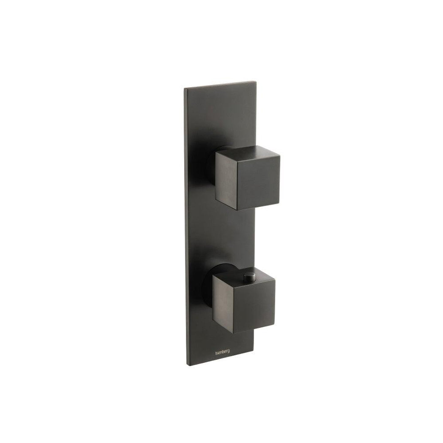 Isenberg Serie 160 Trim for Thermostatic Valve in Matte Black (160.4000VTMB)