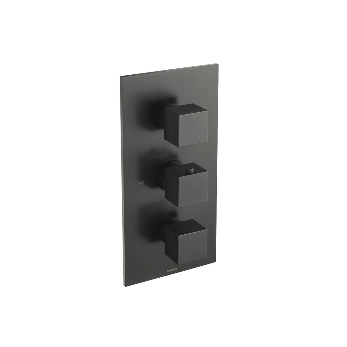 Isenberg Serie 160 Trim for Thermostatic Valve in Matte Black (160.4500TMB)