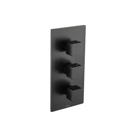 Isenberg Serie 196 Trim for Thermostatic Valve in Matte Black (196.4500TMB)