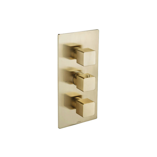 Isenberg Serie 196 Trim for Thermostatic Valve in Satin Brass (196.4500TSB)