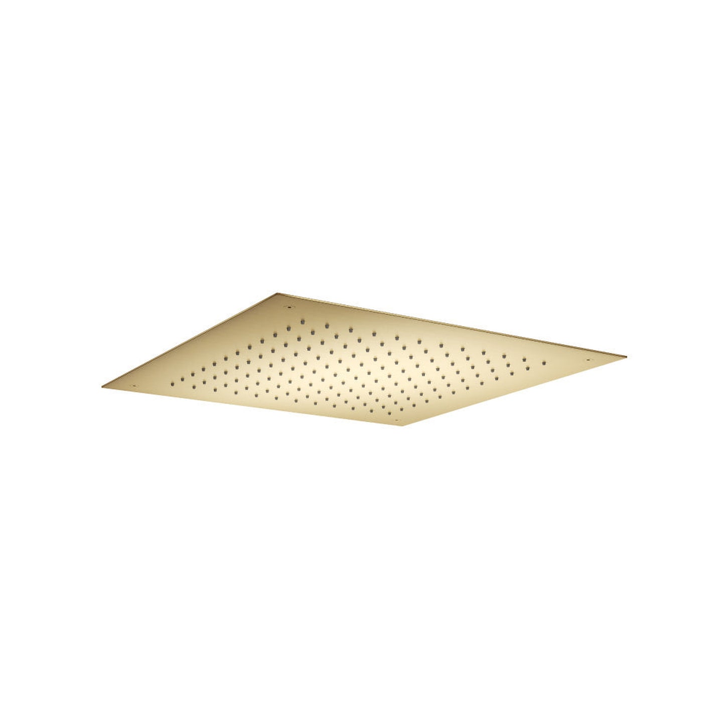 Isenberg Universal Fixtures 20" Flush Mount Stainless Steel Showerhead / Rainhead in Satin Brass