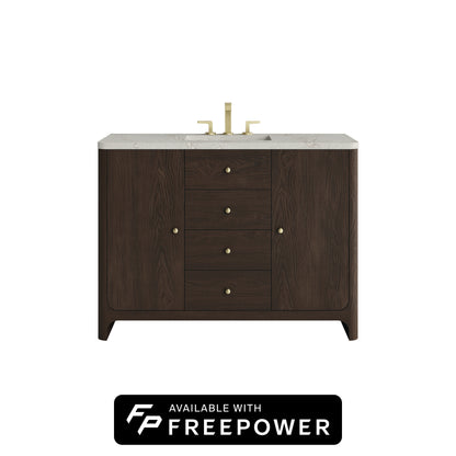 James Martin Vanities Gracyn 48" Sable Single Vanity With 3cm Victorian Silver Silestone Top With FreePower Wireless Charger