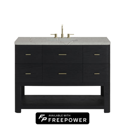 James Martin Vanities Lucian 48" Carbon Oak Single Vanity With 3cm Victorian Silver Silestone Top With FreePower Wireless Charger