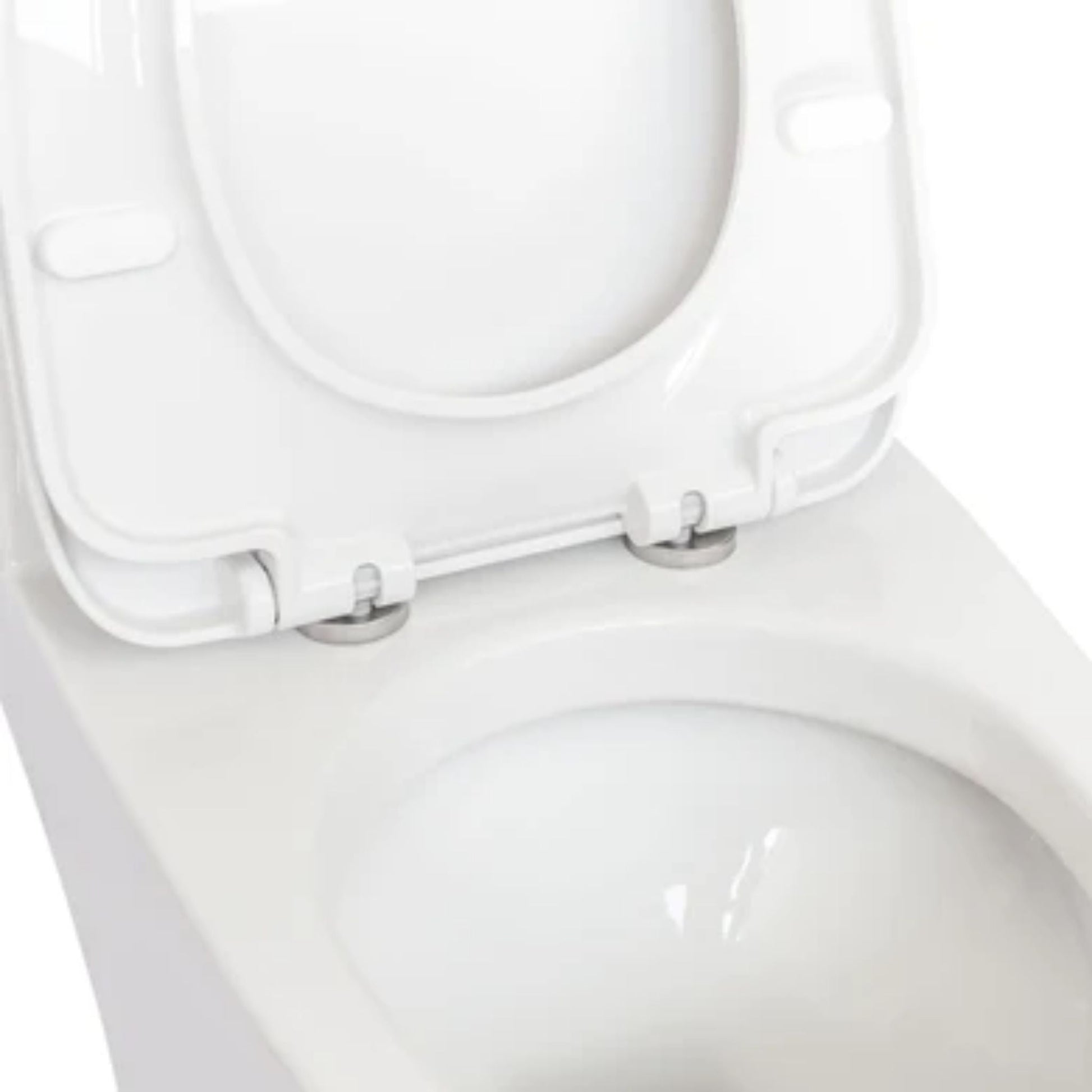 LessCare Dual Flush Elongated One Piece Ceramic Toilet