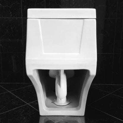 LessCare Dual Flush Elongated One Piece Ceramic Toilet