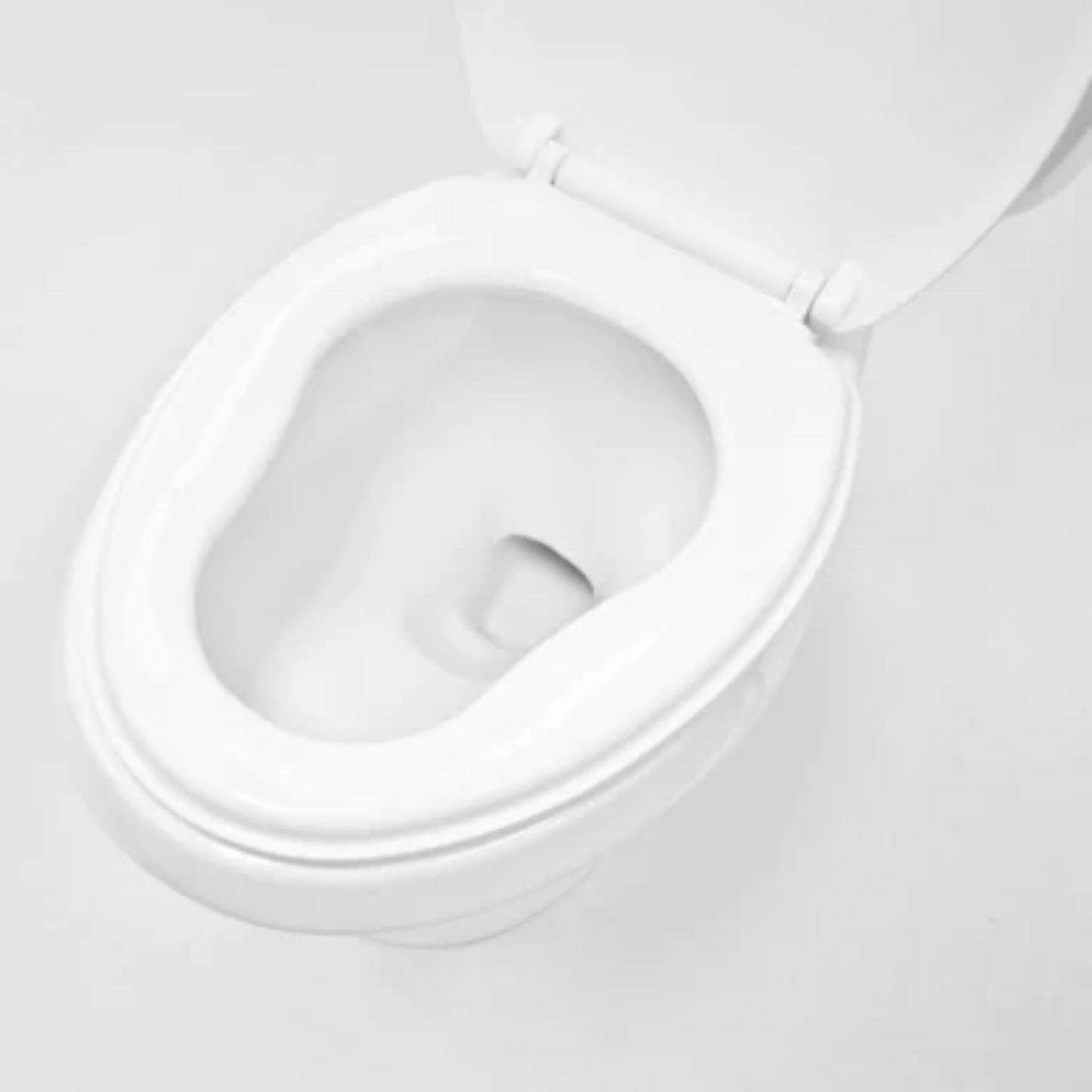 LessCare Dual Flush Elongated Two Piece Ceramic Toilet